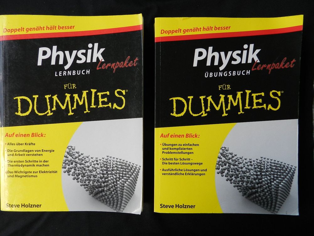 Anleihe Erklarung Fur Dummies