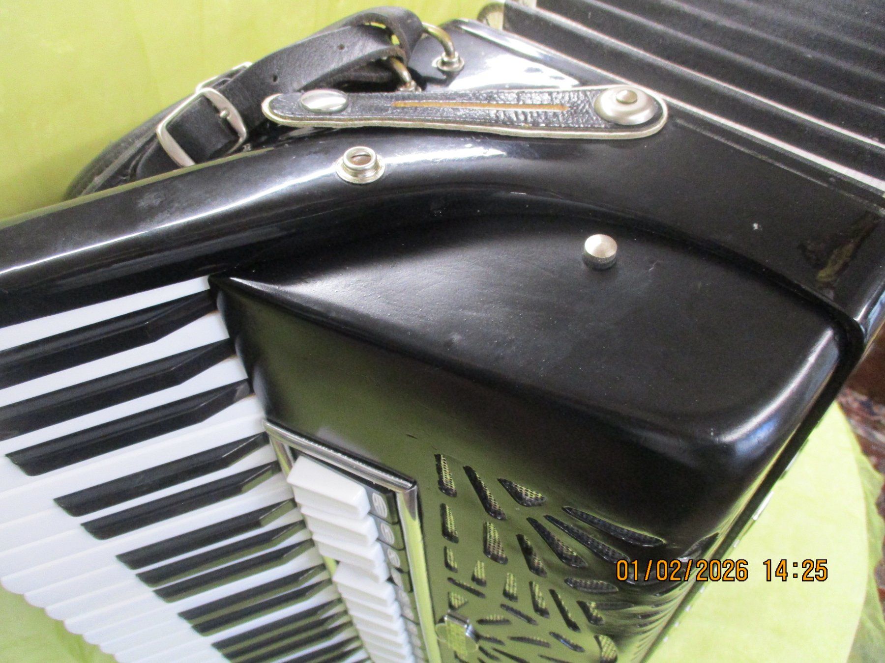 Strumenti musicali: Akkordeon Delicia Cassotto – Usato da Jegenstorf venduto da Oktavio 5