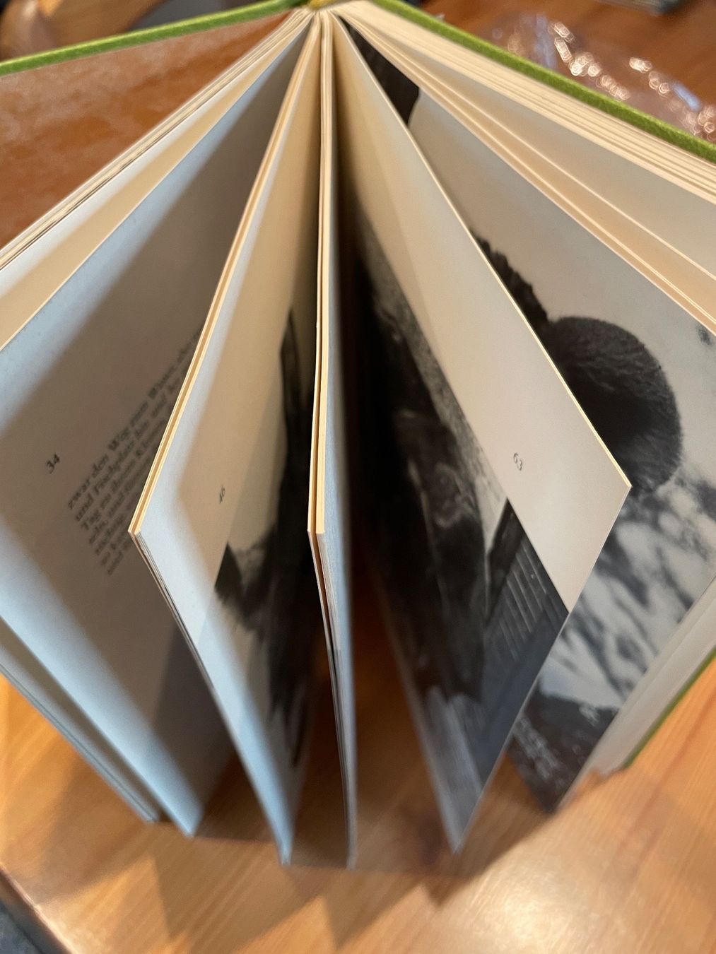 Libri: Tierkinder  Avanti Buch – Usato da Wohlen AG venduto da NincoA-Z 2
