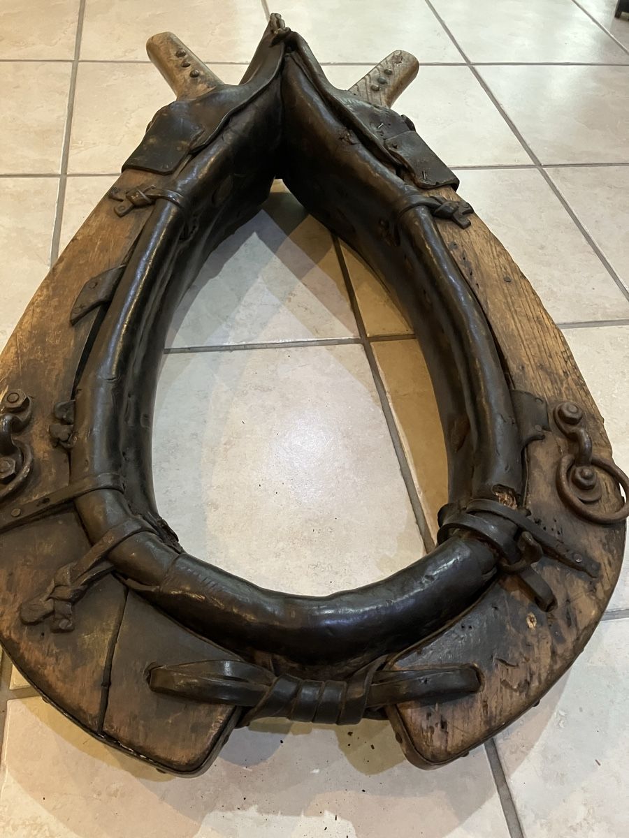 Tutte le decorazioni: Pferdekummet antik – Difettoso da Hätzingen venduto da Corne_51 2