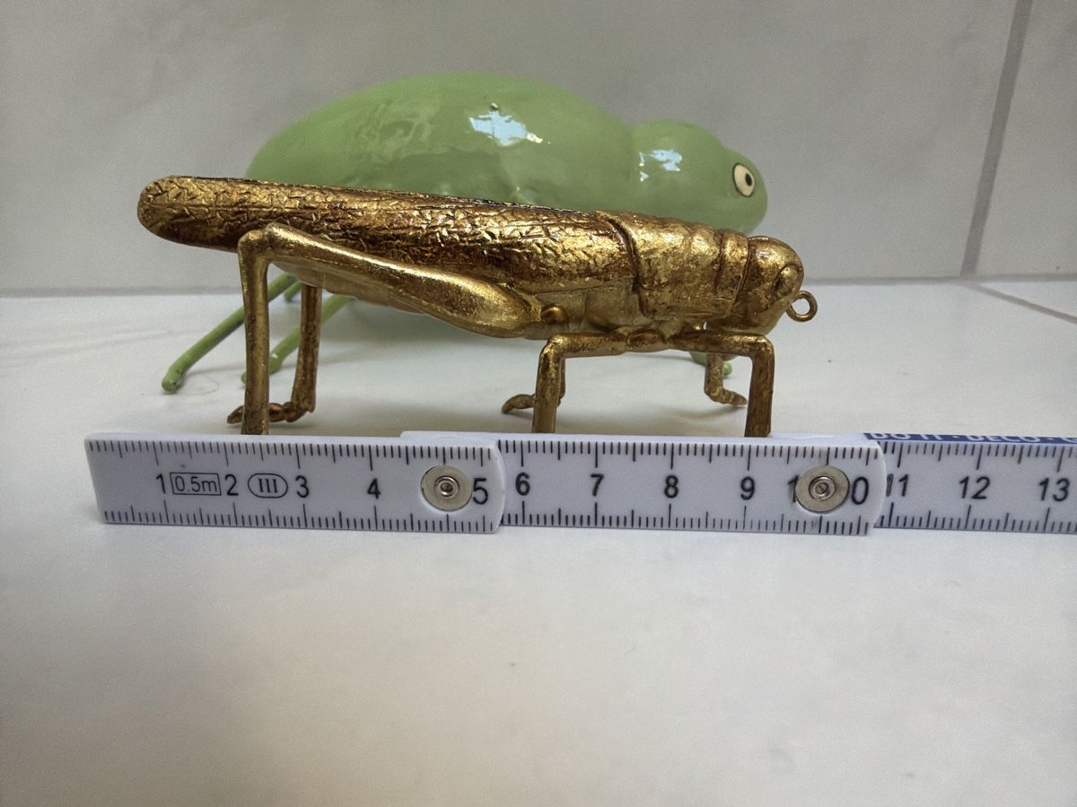 Tutte le decorazioni: Käfer und Heuschrecke , Dekoration. – Usato da Biberist venduto da Momo33 7