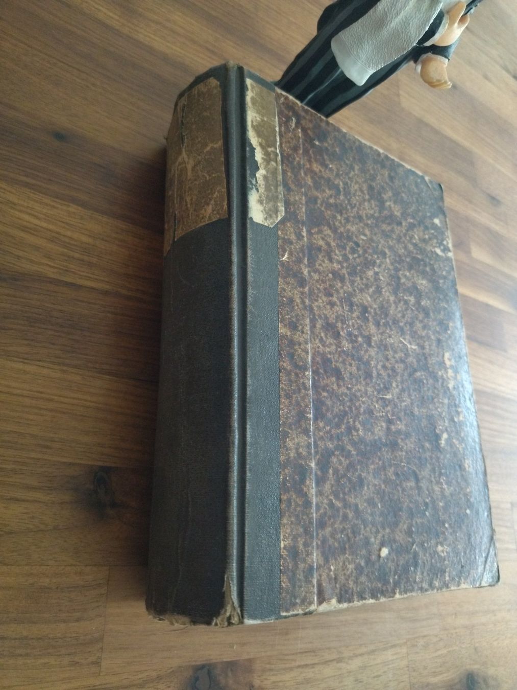Libri: Kochbuch antik 1885 – Usato da Felben-Wellhausen venduto da bananajoe8474 1