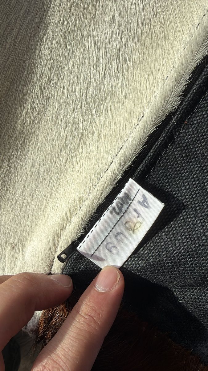 Cassina Sessel: Cassina LC4 Liege  – Gebraucht aus Zürich von whitehorse 4