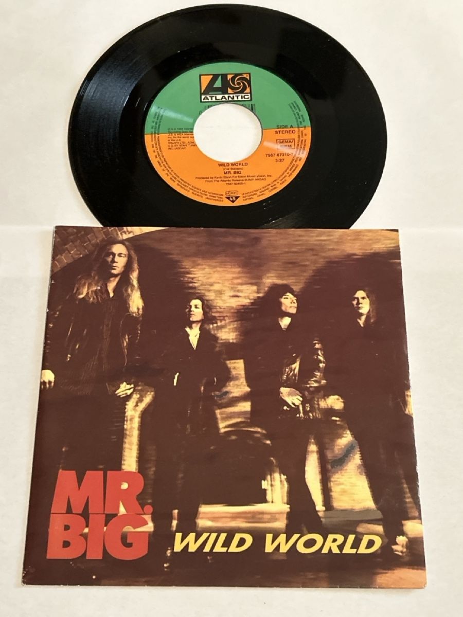 Dischi in vinile: Mr. Big. 1993. Wild World – Usato da Faulensee venduto da Mizuno06