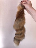 queue de renard