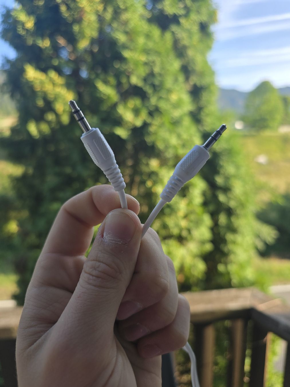 Cavi: Klinkenstecker / Audiokabel 3.5 × 3.5  |  1m – Usato da Grandval venduto da Golumbus