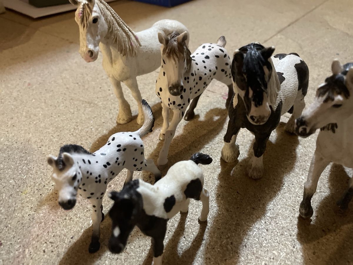 Schleich Spielzeuge: Schleichtier Set  – Gebraucht aus Niederhasli von nic_65cm 1