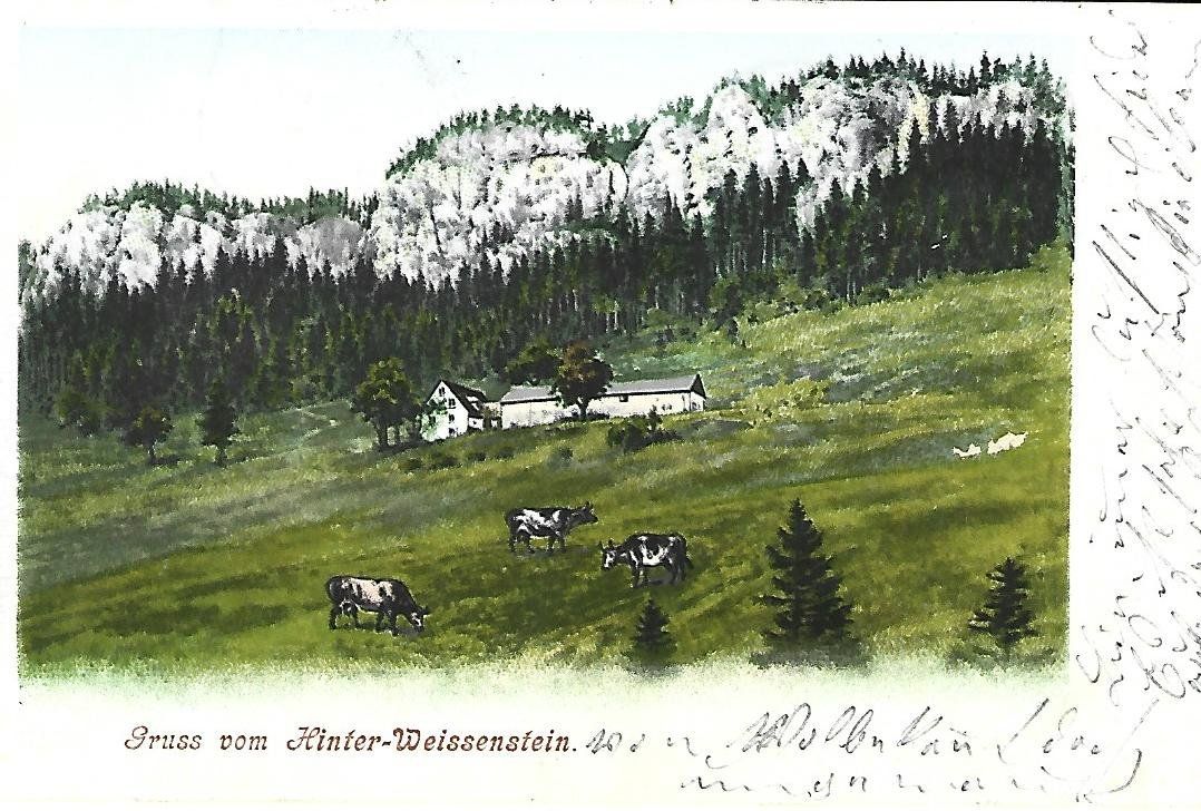 Cartoline postali: Gruss vom Hinter-Weissenstein – Usato da Wetzikon ZH venduto da Brulu100