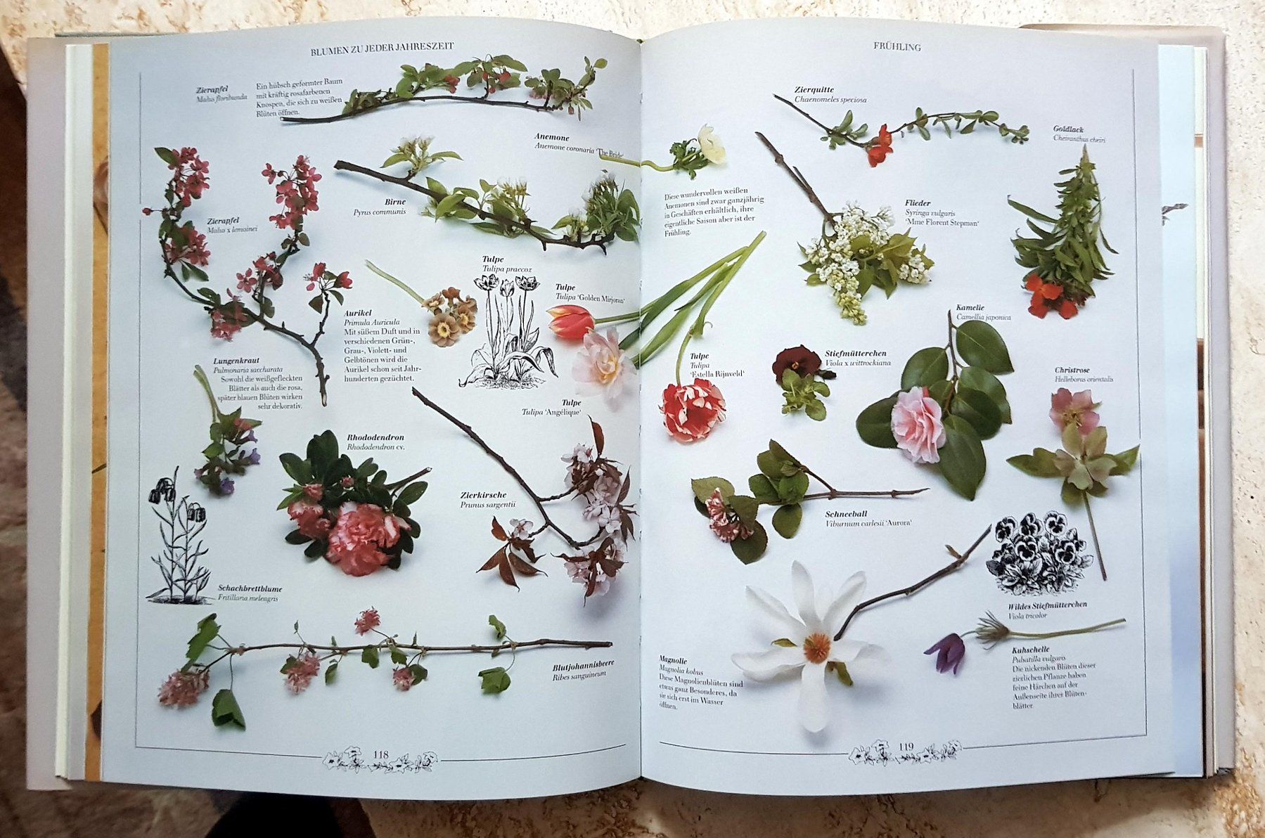 Libri: Zauberhafte Bouquets - Kunst des Blumenbindens – Usato da Winterthur venduto da Joschko 7