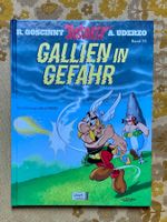 Asterix Band Nr 33 von 2005