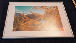 bilderrahmen hochwertig 50×35cm 