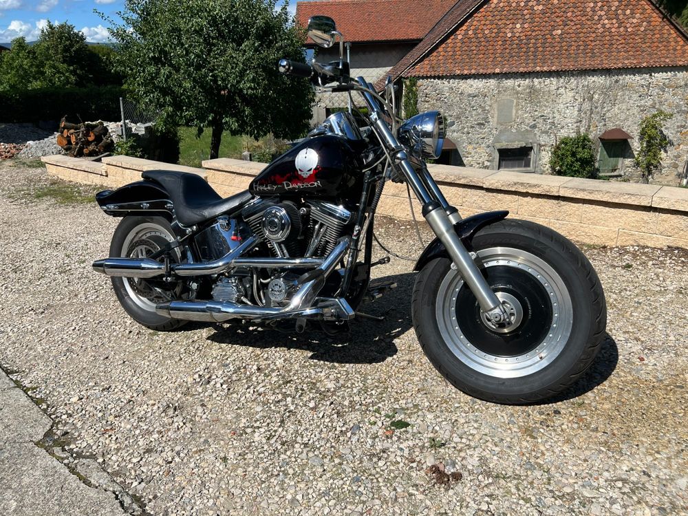 Harley davidson hotsell fatboy evo