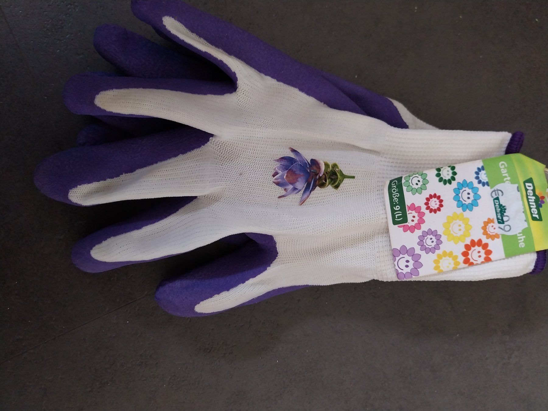 Guanti & manicotti: Gartenhandschuhe Grösse 9 (L) – Usato da Schwaderloch venduto da bademeister79