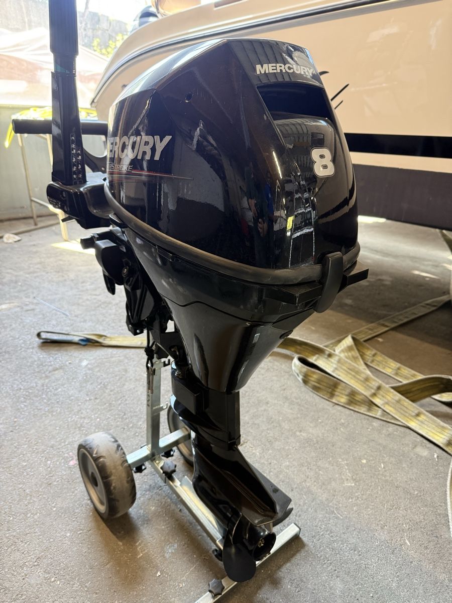 Mercury Motori: Mercury 8 Fourstroke Outboard Engine - Model F8M 2010 – Usato da Kriens venduto da Hugo-6010 3