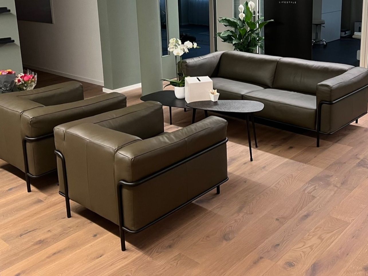 Johann Jakob Sofas: Echtleder Couch und Sessel – D'occasion à Zug par rwey6300