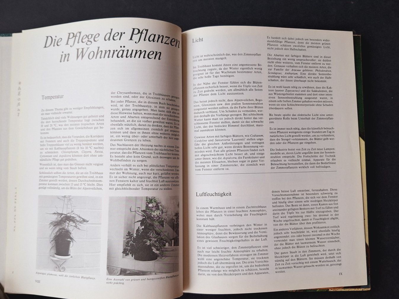 Libri: Zimmerpflanzen meine Freunde – Usato da Zürich venduto da t24_de 3