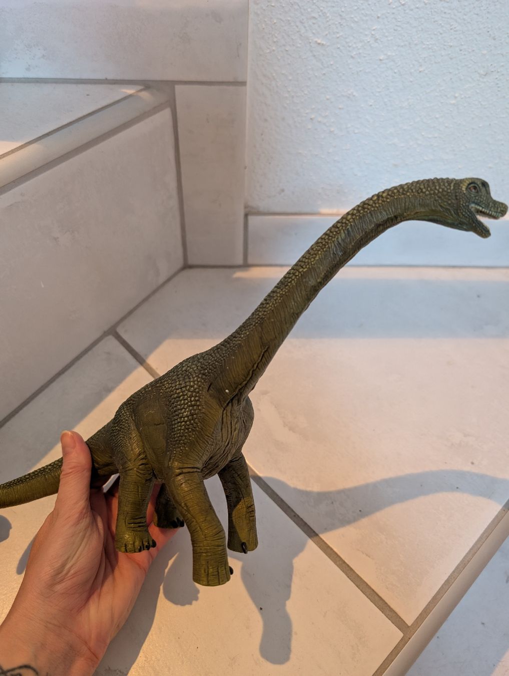 Schleich Giocattoli: Dinoset Schleich – Usato da Gebenstorf venduto da fa1zz 3