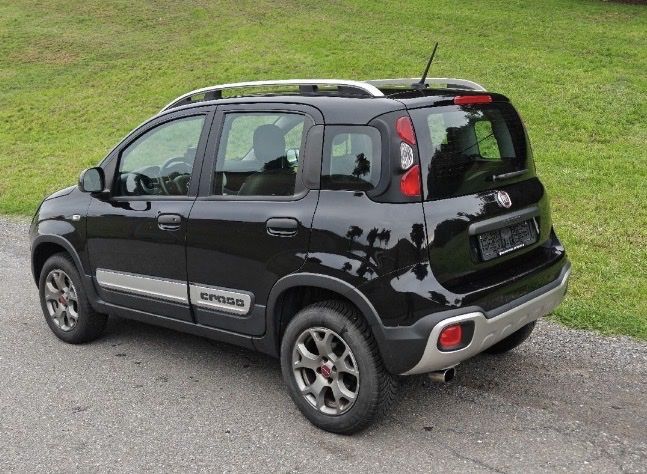 Fiat Automobili: Fiat Panda Cross 4x4 – Usato da Au SG venduto da ben_9kp2 5