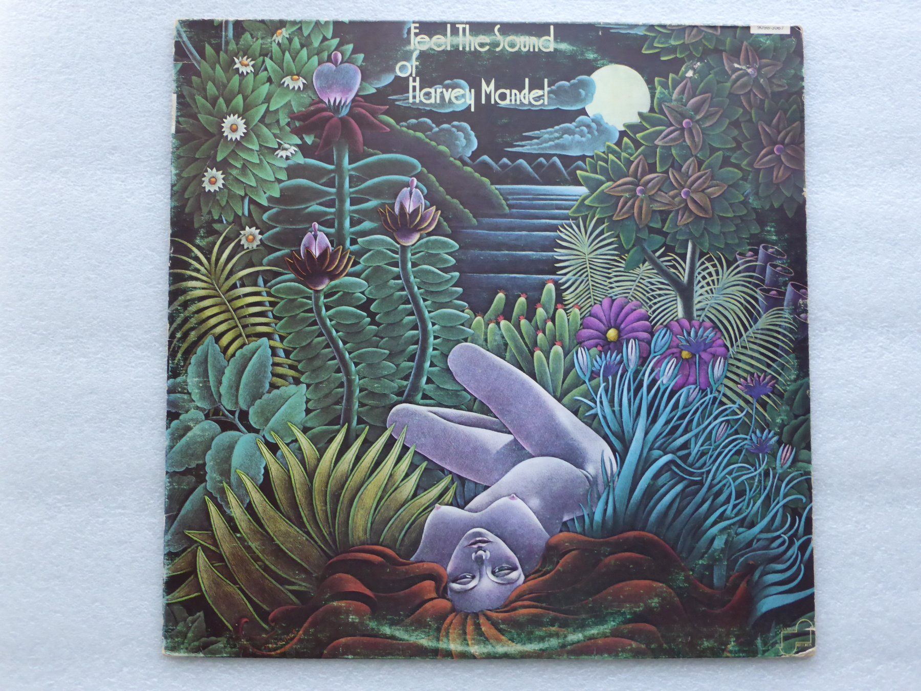 Dischi in vinile: VINYL  LP   HARVEY MANDEL – Usato da Küssnacht am Rigi venduto da Sunnestrahl