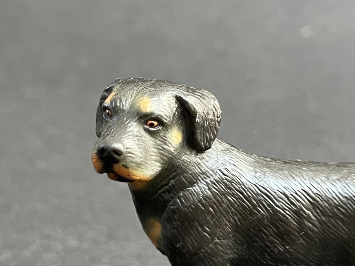 Schleich Statuette: Schleich Rottweiler Hund 16325 – Usato da Ennetbaden venduto da mapa05 2