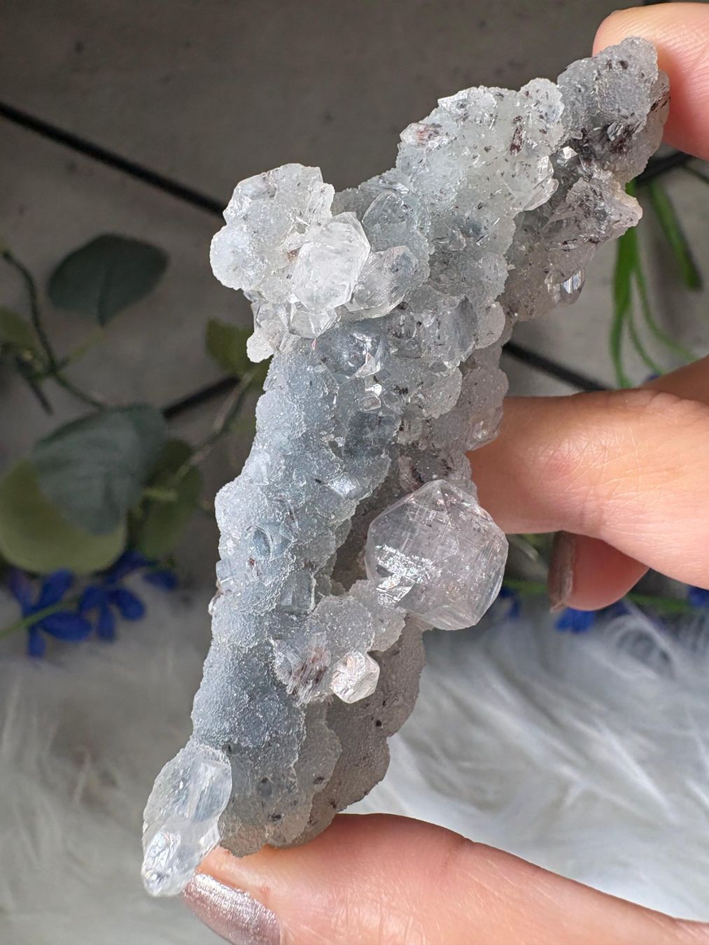 Minerali & Pietre curative: Grüner Chalcedon-Stalaktit mit Apophyllit – Nuovo e nell'imballaggio originale da Neuheim venduto da m.hald 6