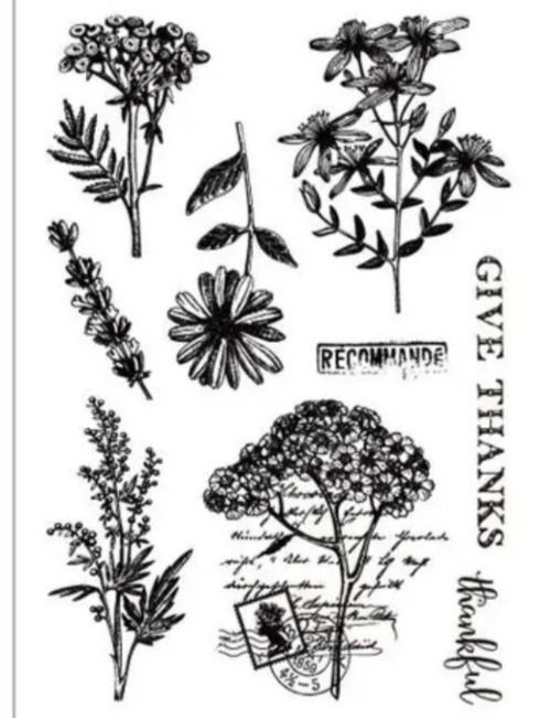 Timbri: Silikonstempel Nr.644, Blumen, Schrift – Nuovo e nell'imballaggio originale da Gretzenbach venduto da Fliegepilz56