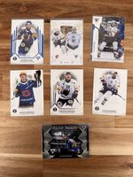 Sportzoo Series 2 + Playoffs 24/25 Fribourg-Gotteron