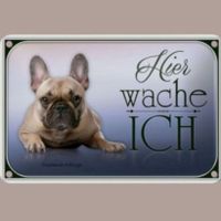 🔥 FRANZÖSISCHE BULLDOGGE Blechschild 🎀 12x18cm OVP 🔥