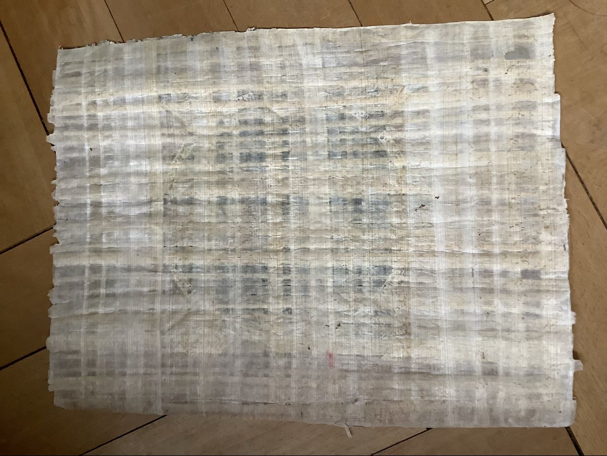 Foto & Immagini: Zwei alte Payrus Bilder – Usato da Zürich venduto da Albatros57 1