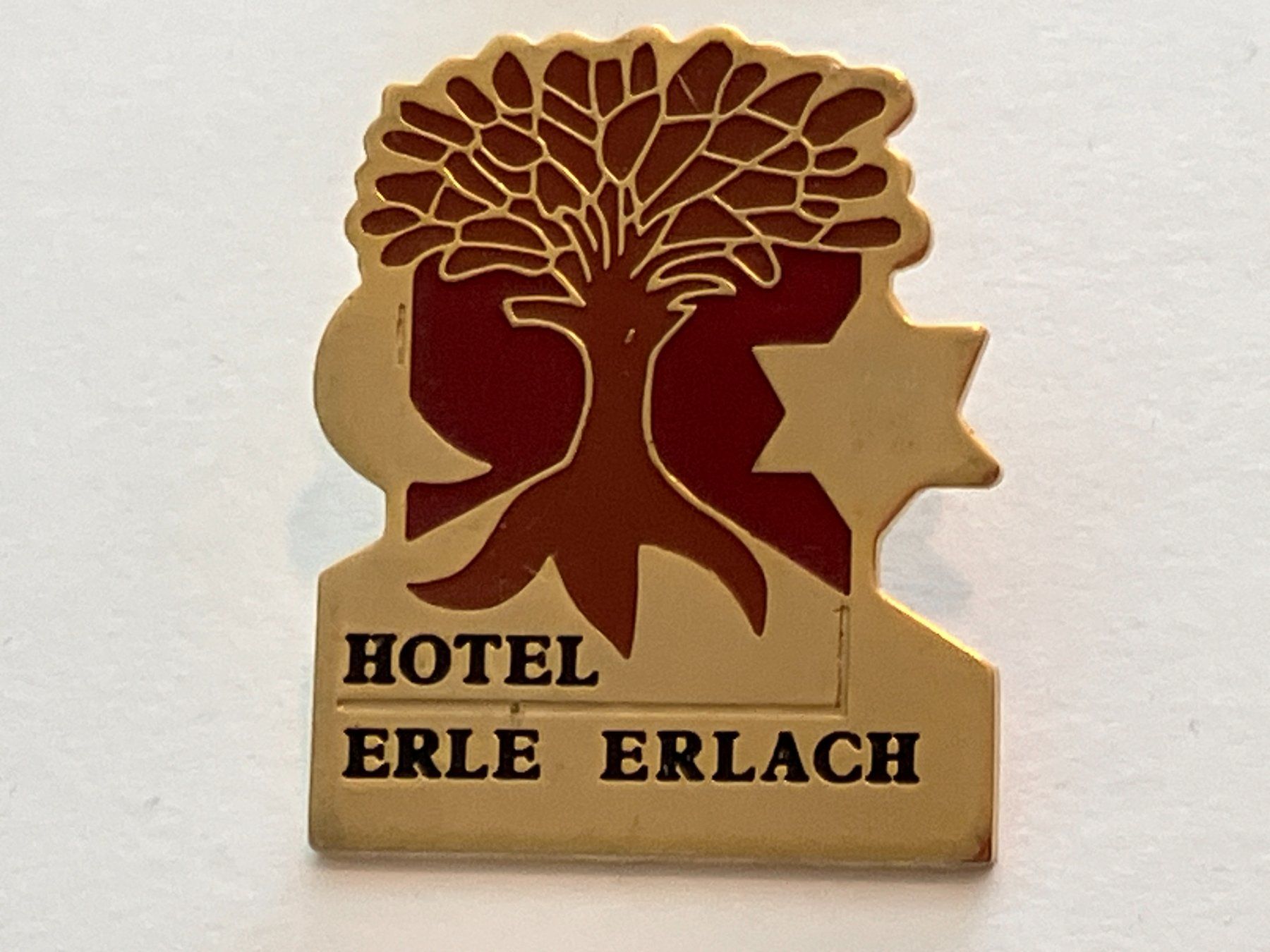 Plaketten & Abzeichen: 1 Pin Hotel Erle Erlach – Gebraucht aus Basel von djwwpp