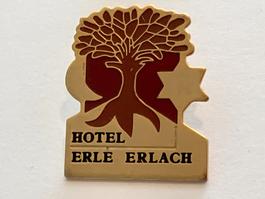 1 Pin Hotel Erle Erlach