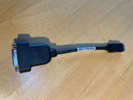 Display Port auf DVI-D Adapter schwarz