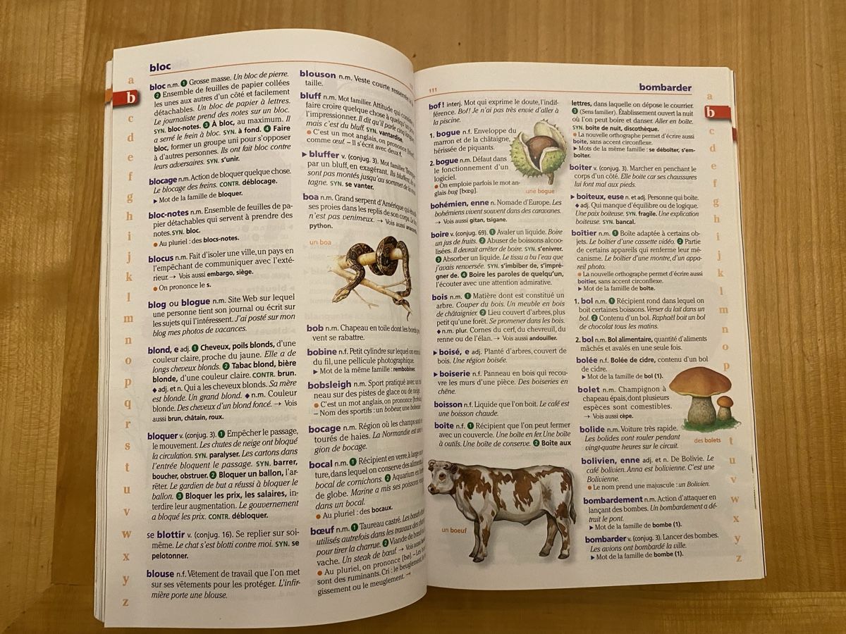 Libri: Dictionnaire 7-11 ans – Nuovo (secondo la descrizione) da sion venduto da ckmoi01 4