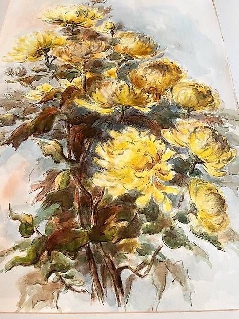 Tableaux: Aquarelle fleurs Chysanthèmes – D'occasion à PULLY par RAPHAEL1953 1