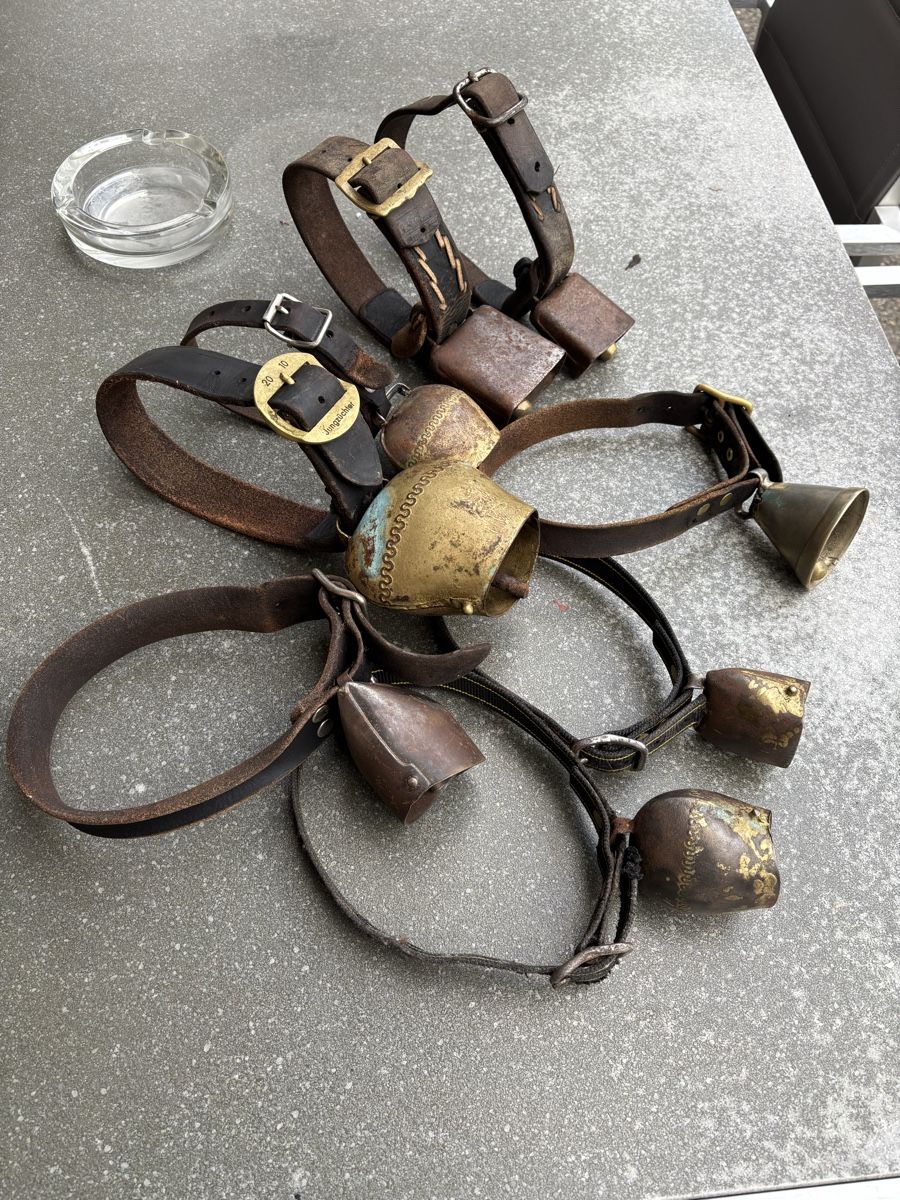 Campanacci mucche: 8 Schaftreicheli – Usato da Schangnau venduto da Roseggli82 1