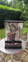 Exo Terra Terrarium 30cm x 30 cm x 45cm