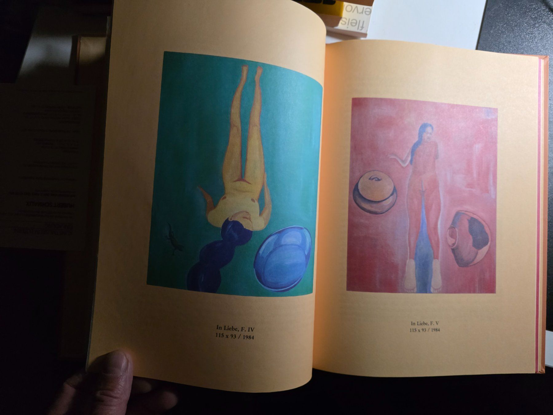 Libri: Yasmin und Iris - Hubert Schmalix - Kunst Buch 1986 – Usato da Walterswil BE venduto da Lonitti 4