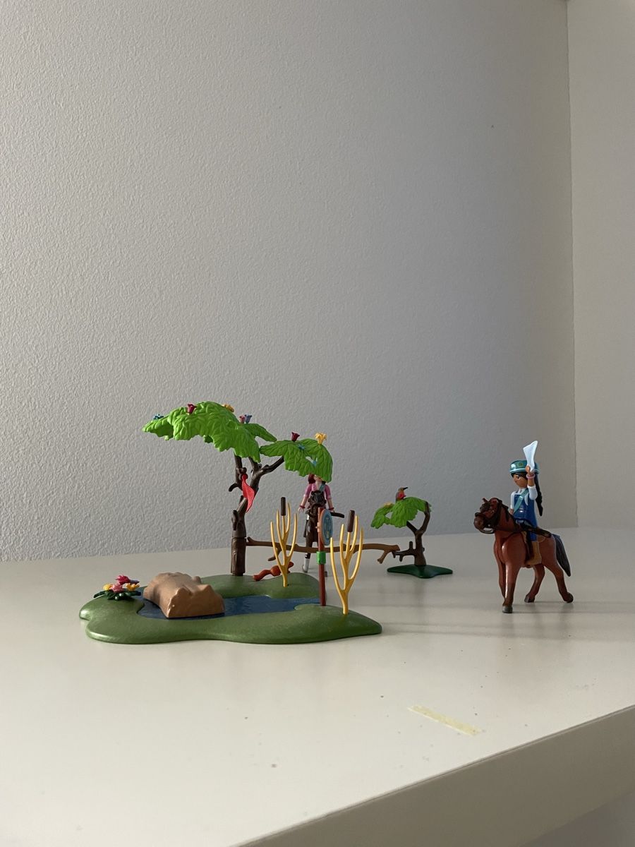 Playmobil Giocattoli: Playmobil Spirit – Usato da Montsevelier venduto da Leamnoev 1