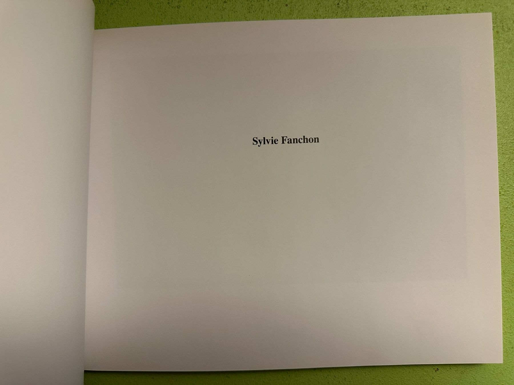 Libri: Sylvie Fanchon. Texte: Vincent Pécoil. – Usato da Zürich venduto da allp 1