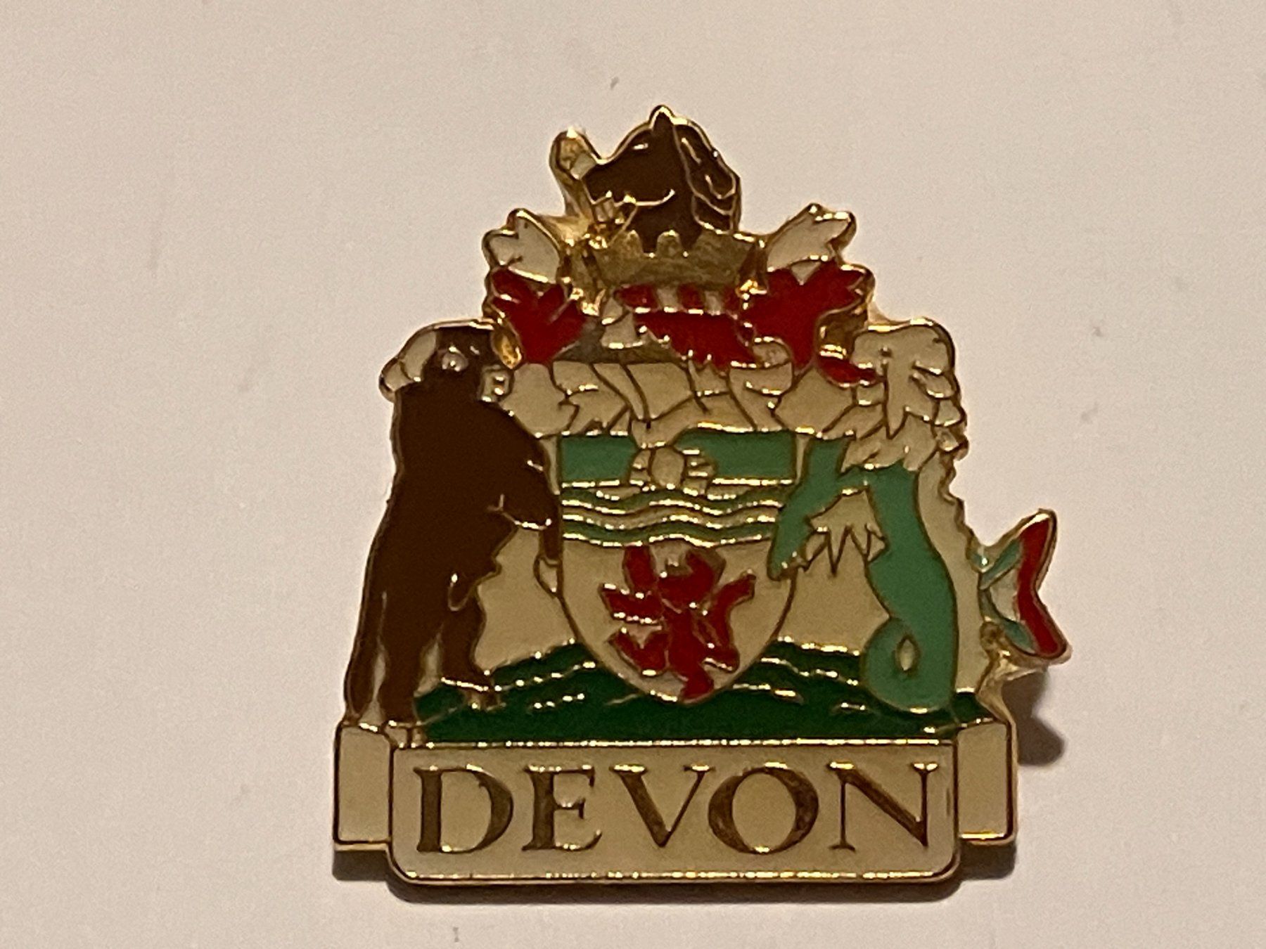 Plaketten & Abzeichen: 1 Pin Devon – Gebraucht aus Basel von djwwpp