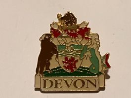 1 Pin Devon