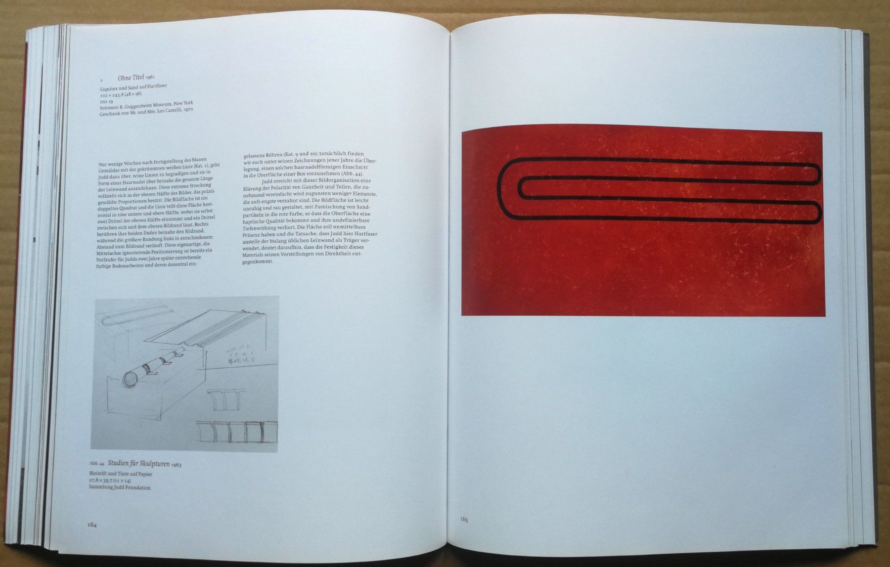 Libri: Kunstbuch Donal Judd – Usato da Goldau venduto da I_auktionator 4