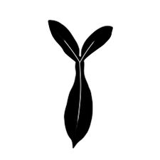 Profile image of AdorableAroids