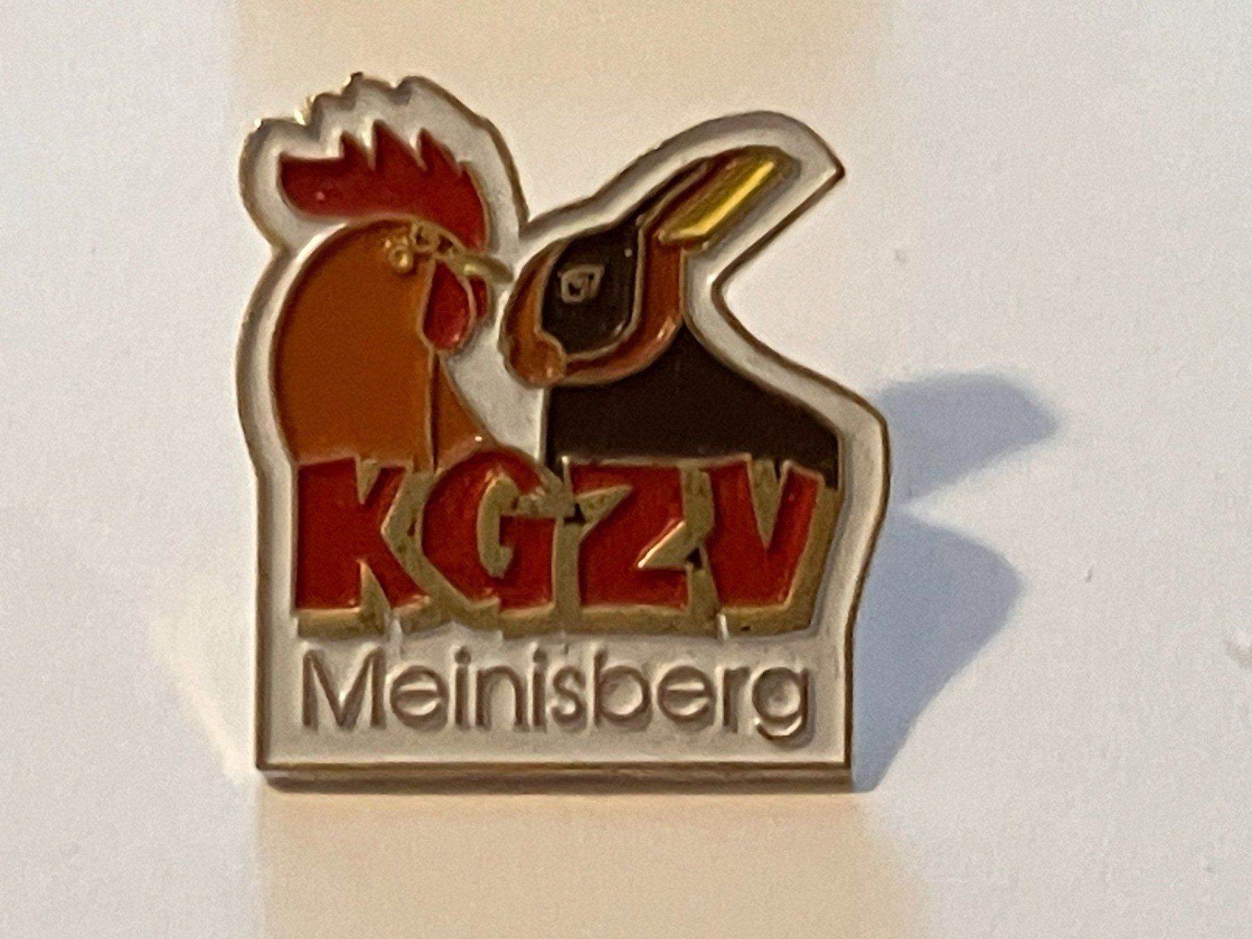 Placchette & Badge: 1 Pin KGZV Meinisberg – Usato da Basel venduto da djwwpp
