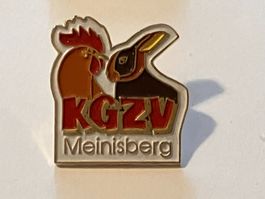 1 Pin KGZV Meinisberg