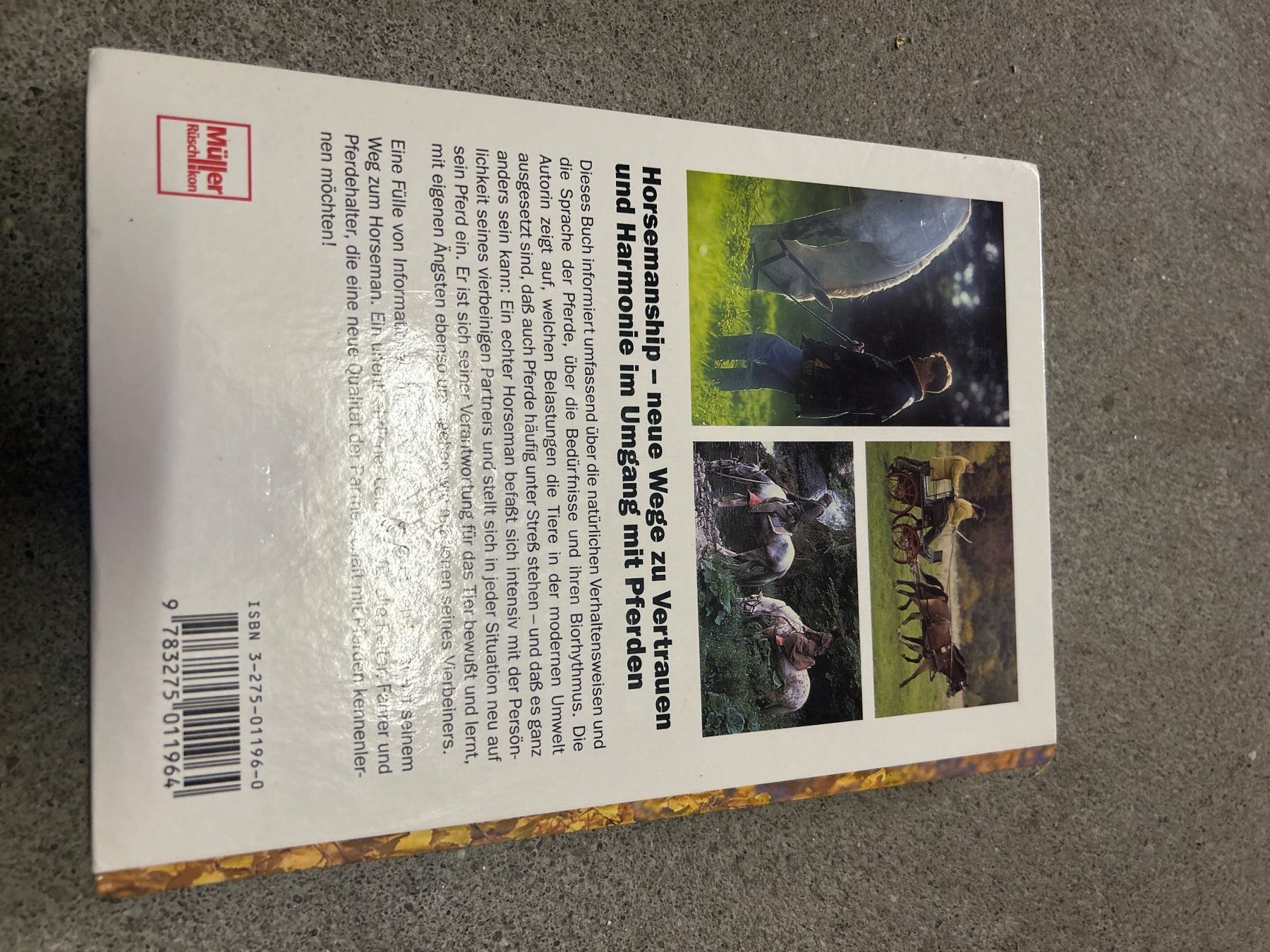 Libri: Horsemanship Partnerschaft mit Pferden Ratgeber – Usato da Regensdorf venduto da Spyke55 1