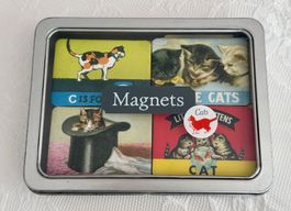 Collezione 24 magneti con gatti