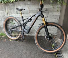 Specialized Levo SL (S-Works)