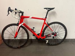 Wilier GTR XL avec Campagnalo Super Record  roues en carbone