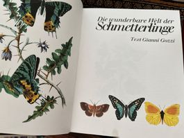 Die wunderbare Welt der Schmetterlinge -  Gianni Gozzi